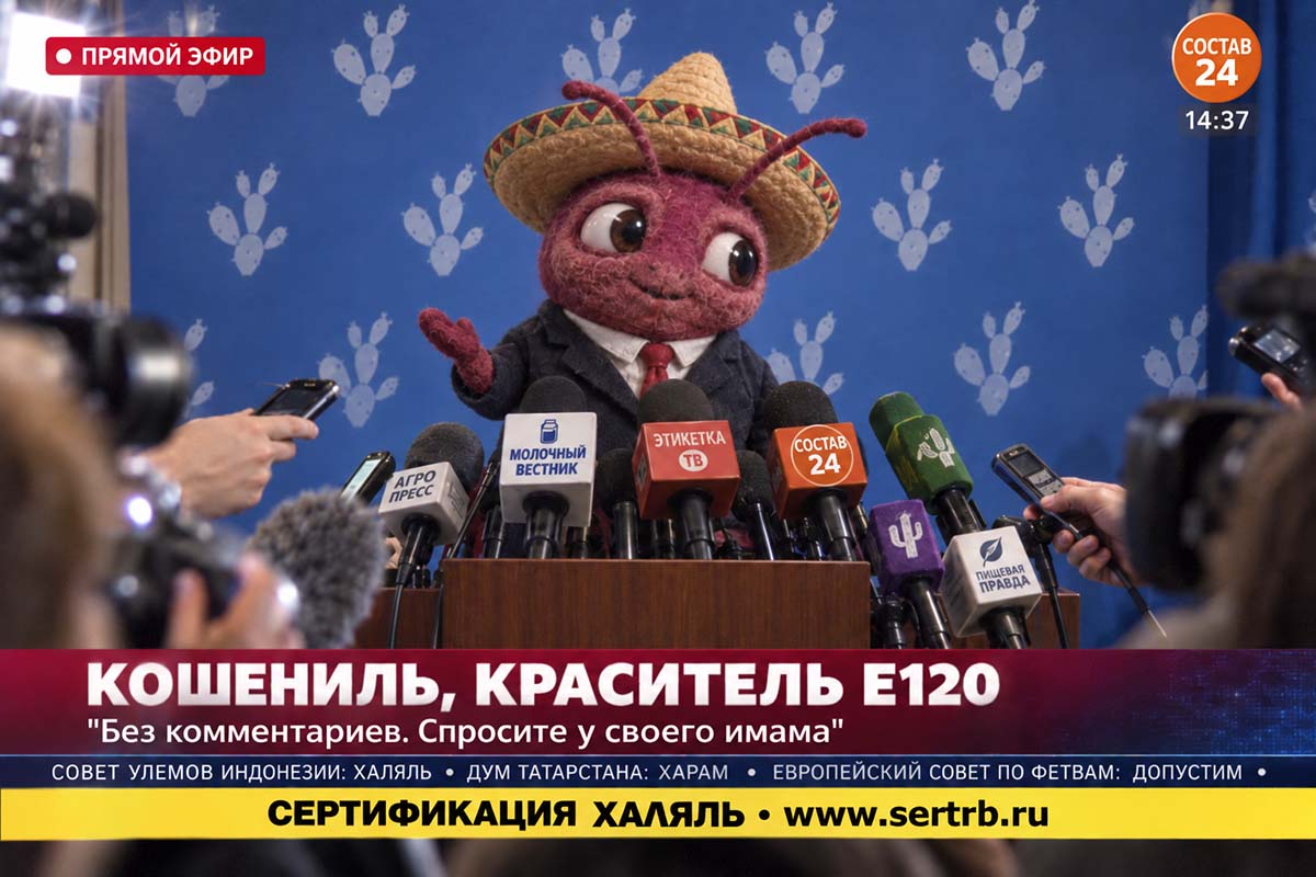 Краситель кармин E120: халяль или харам, из чего его делают и где он прячется в продуктах